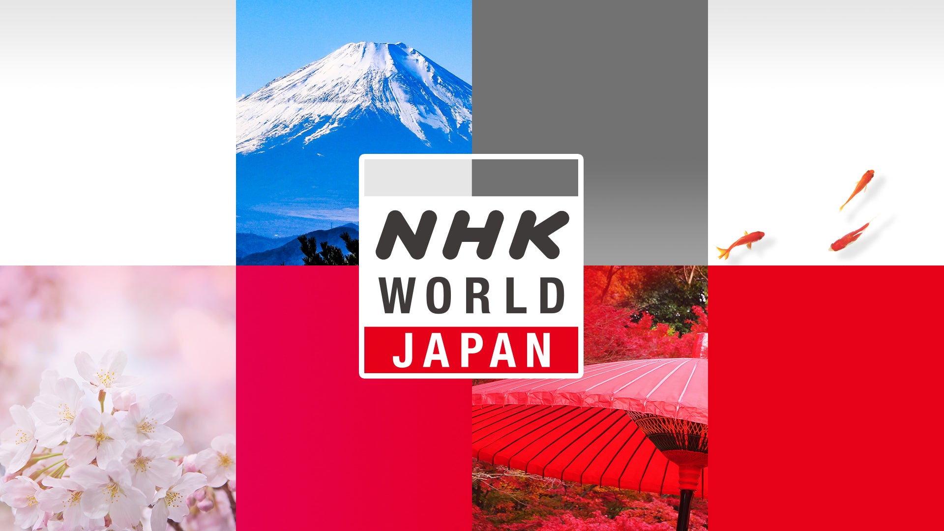 NHK WORLD JAPANにて、「プレーリーカード」が紹介されました