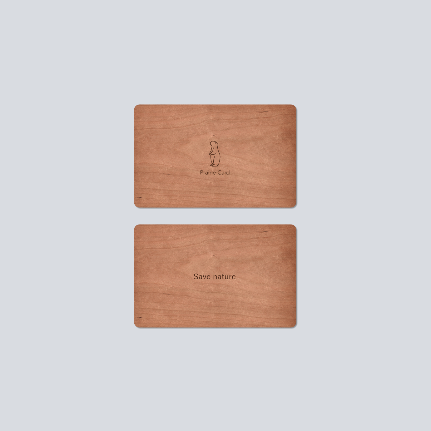 木材素材カード