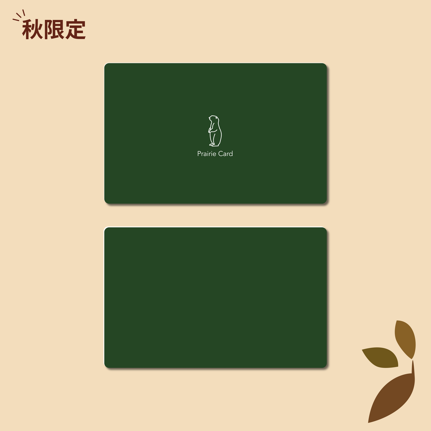 公式デザイン