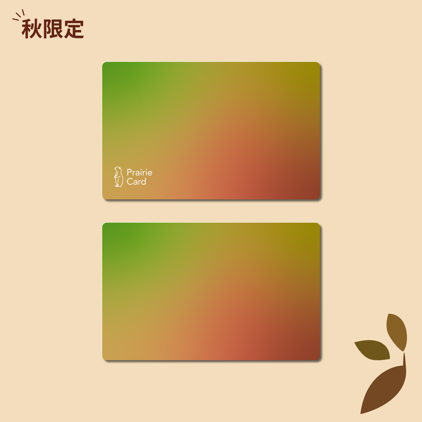 公式デザイン