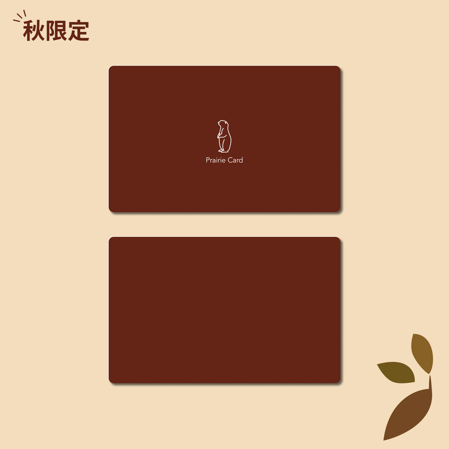 公式デザイン